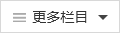 皇冠国际