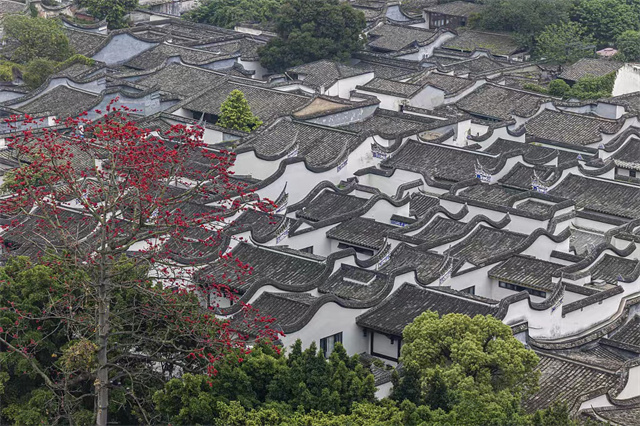皇冠国际